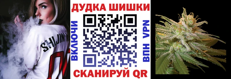 Конопля сатива  Гусев 